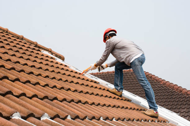 Best Flat Roofing  in Dixmoor, IL